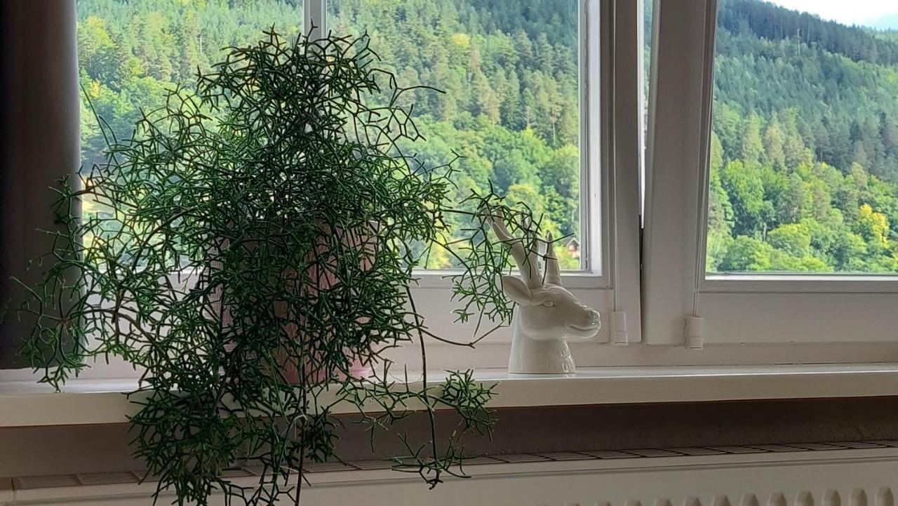Apartement Am Waldrand Bad Wildbad Ngoại thất bức ảnh